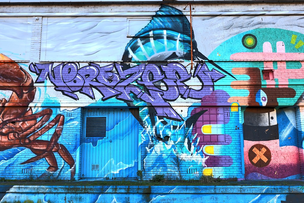 Graffiti art hdr kunst kunstwerk urbex mural murals straatkunst